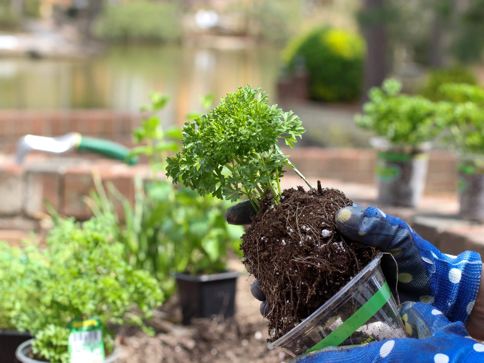 Werken in het groen zonder diploma