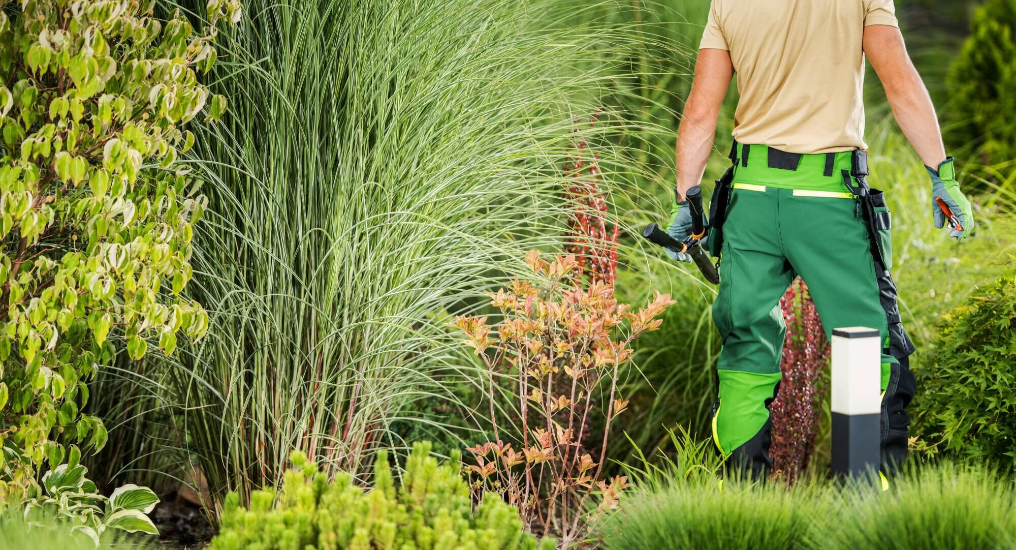 Buiten werken beroepen